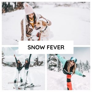 snow fever collage professional presets